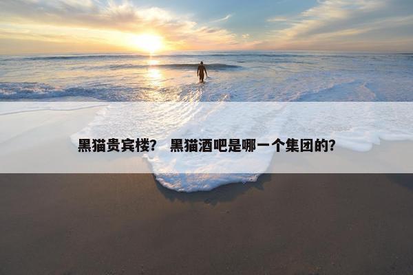黑猫贵宾楼？ 黑猫酒吧是哪一个集团的？