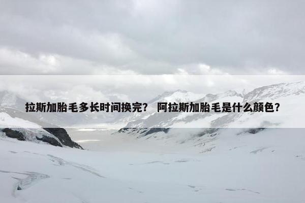 拉斯加胎毛多长时间换完？ 阿拉斯加胎毛是什么颜色？