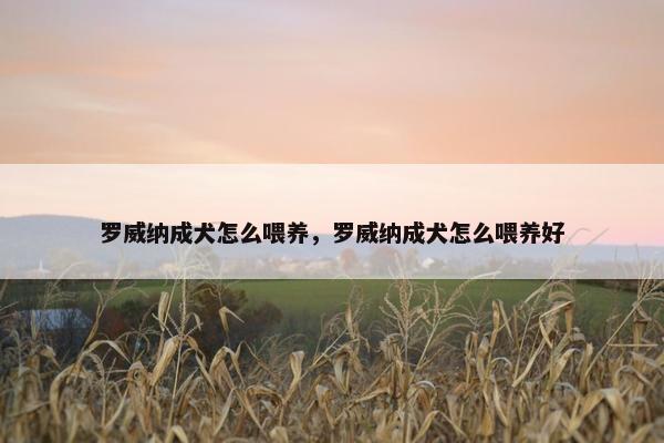 罗威纳成犬怎么喂养，罗威纳成犬怎么喂养好