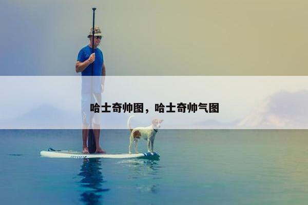 哈士奇帅图，哈士奇帅气图