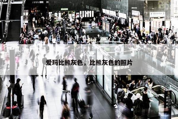 爱玛比熊灰色，比熊灰色的照片