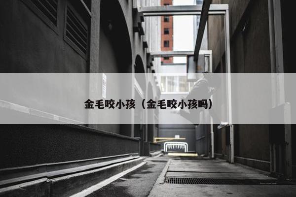 金毛咬小孩（金毛咬小孩吗）