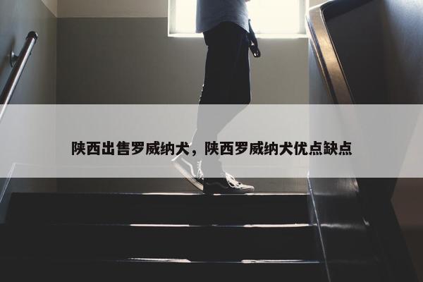 陕西出售罗威纳犬，陕西罗威纳犬优点缺点