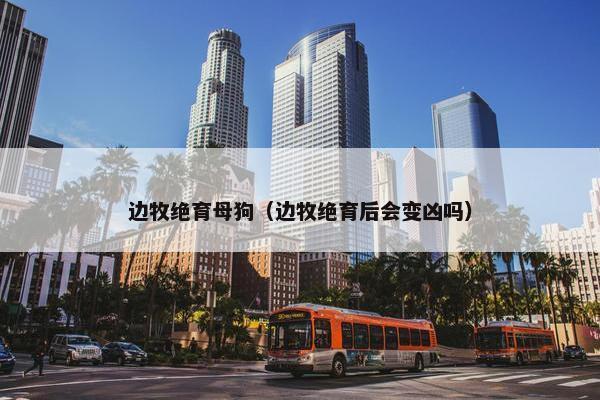 边牧绝育母狗（边牧绝育后会变凶吗）