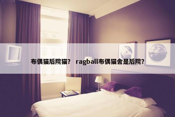 布偶猫后院猫？ ragball布偶猫舍是后院？