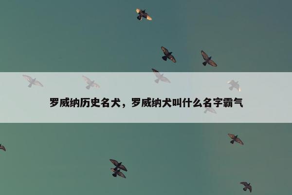 罗威纳历史名犬，罗威纳犬叫什么名字霸气