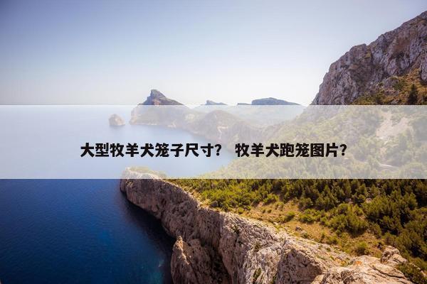 大型牧羊犬笼子尺寸？ 牧羊犬跑笼图片？