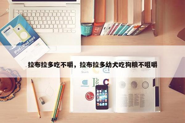 拉布拉多吃不嚼，拉布拉多幼犬吃狗粮不咀嚼