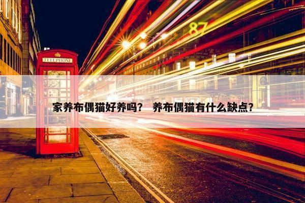 家养布偶猫好养吗？ 养布偶猫有什么缺点？
