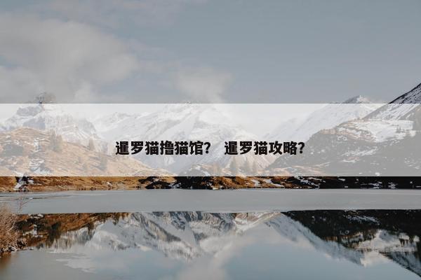 暹罗猫撸猫馆？ 暹罗猫攻略？