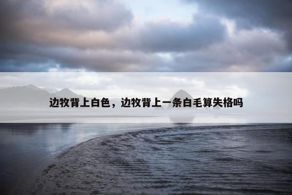 边牧背上白色，边牧背上一条白毛算失格吗