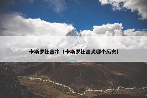 卡斯罗杜高串（卡斯罗杜高犬哪个厉害）