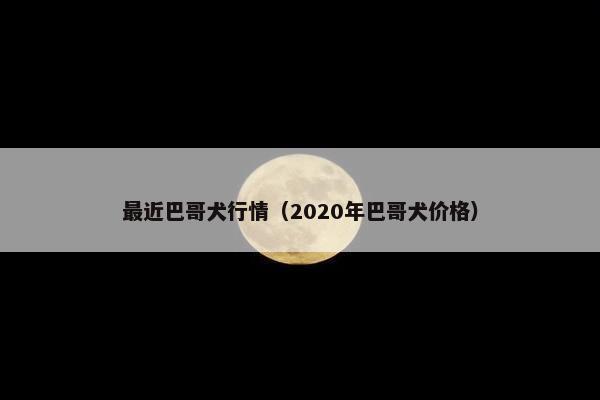 最近巴哥犬行情（2020年巴哥犬价格）