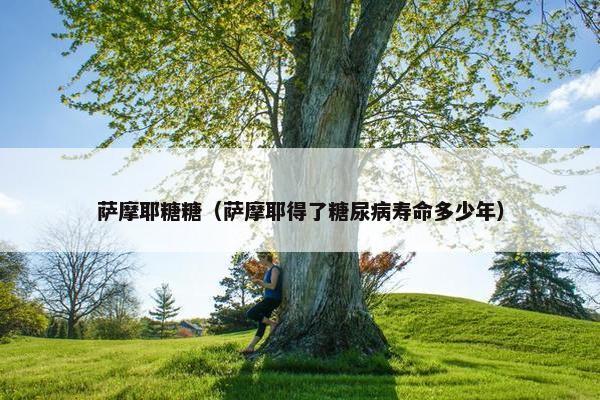 萨摩耶糖糖（萨摩耶得了糖尿病寿命多少年）