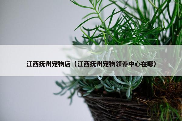 江西抚州宠物店（江西抚州宠物领养中心在哪）