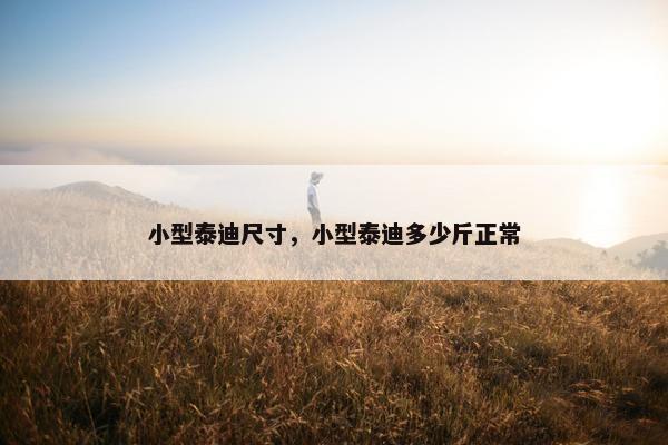 小型泰迪尺寸，小型泰迪多少斤正常