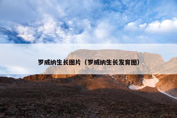 罗威纳生长图片（罗威纳生长发育图）