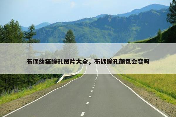 布偶幼猫瞳孔图片大全，布偶瞳孔颜色会变吗
