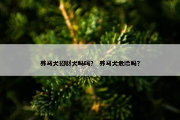 养马犬招财犬吗吗？ 养马犬危险吗？