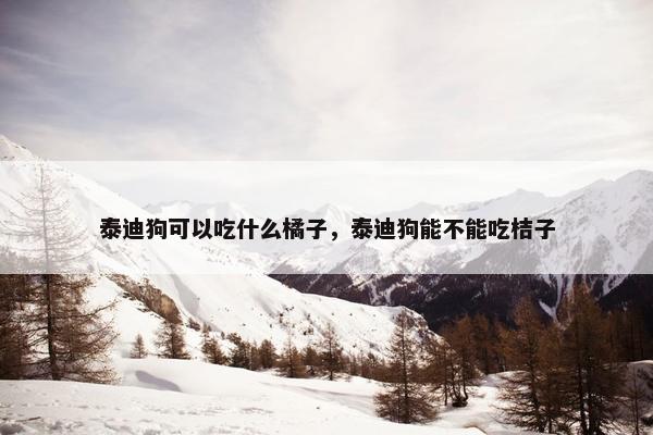 泰迪狗可以吃什么橘子，泰迪狗能不能吃桔子