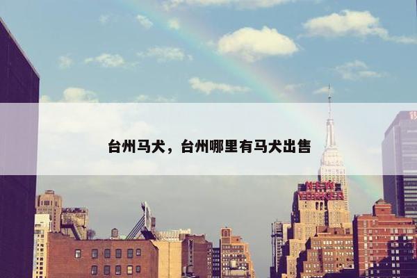 台州马犬，台州哪里有马犬出售