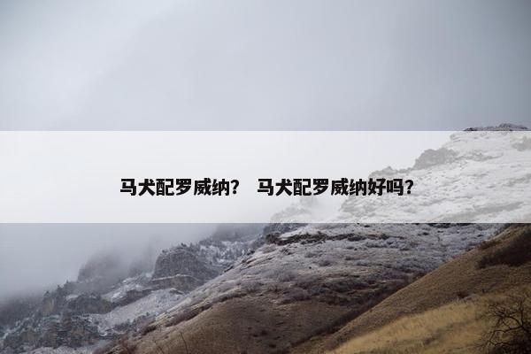 马犬配罗威纳？ 马犬配罗威纳好吗？