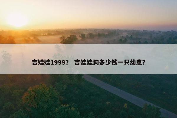 吉娃娃1999？ 吉娃娃狗多少钱一只幼崽？