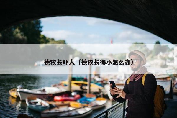 德牧长吓人（德牧长得小怎么办）