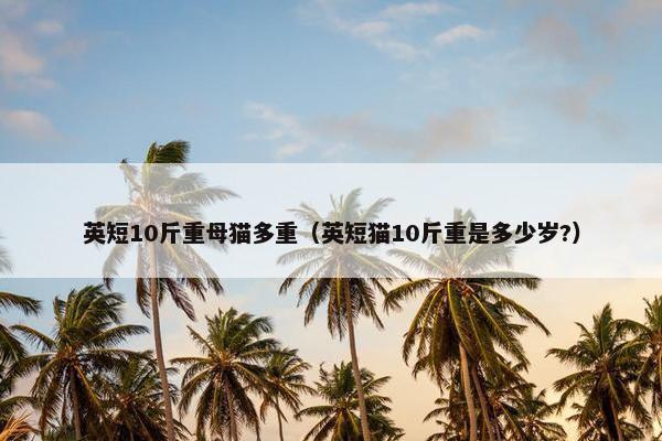 英短10斤重母猫多重（英短猫10斤重是多少岁?）