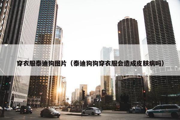 穿衣服泰迪狗图片（泰迪狗狗穿衣服会造成皮肤病吗）