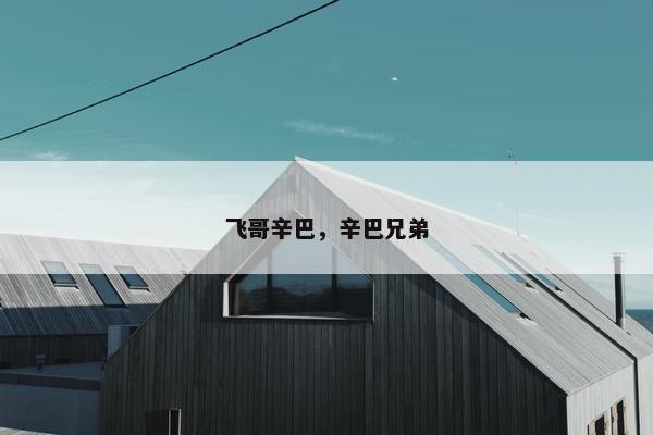 飞哥辛巴，辛巴兄弟
