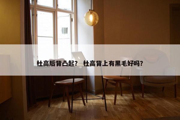 杜高后背凸起？ 杜高背上有黑毛好吗？