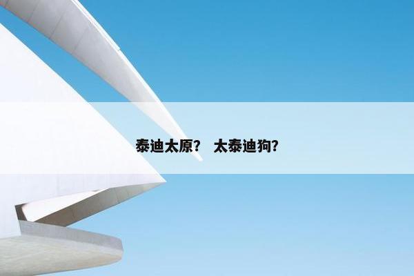 泰迪太原？ 太泰迪狗？
