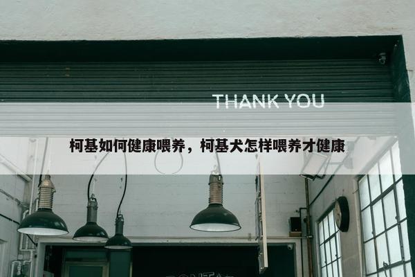 柯基如何健康喂养，柯基犬怎样喂养才健康