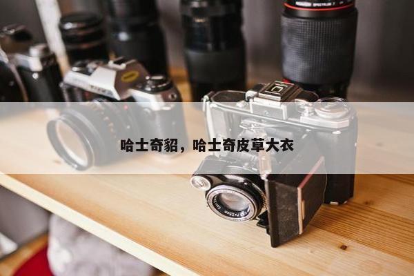 哈士奇貂，哈士奇皮草大衣