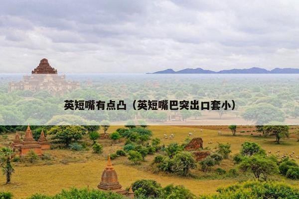 英短嘴有点凸（英短嘴巴突出口套小）