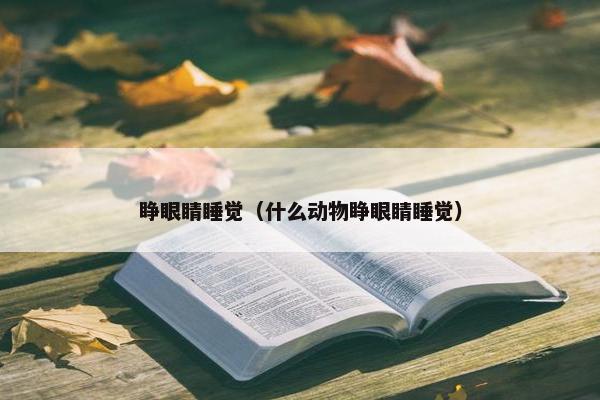 睁眼睛睡觉（什么动物睁眼睛睡觉）