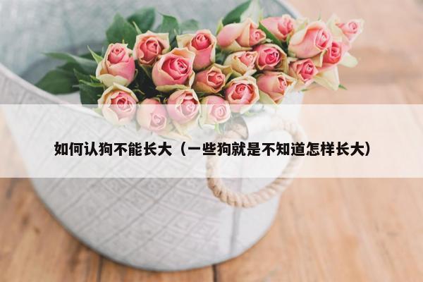 如何认狗不能长大（一些狗就是不知道怎样长大）