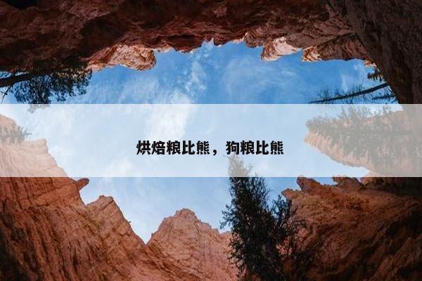 烘焙粮比熊，狗粮比熊