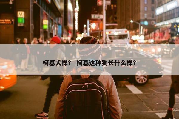 柯基犬样？ 柯基这种狗长什么样？