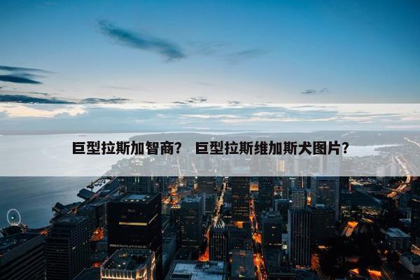 巨型拉斯加智商？ 巨型拉斯维加斯犬图片？