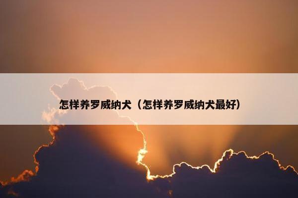 怎样养罗威纳犬（怎样养罗威纳犬最好）