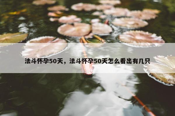 法斗怀孕50天，法斗怀孕50天怎么看出有几只