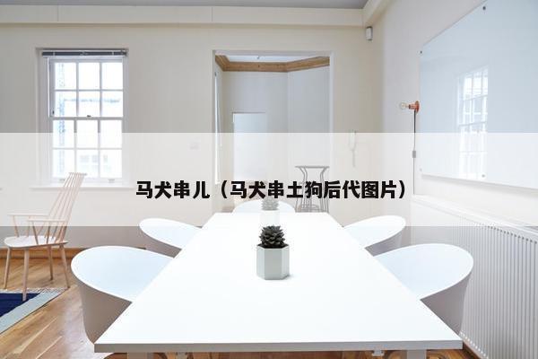 马犬串儿（马犬串土狗后代图片）