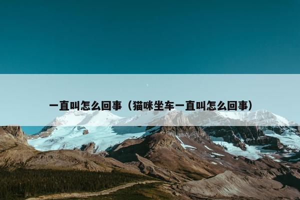 一直叫怎么回事（猫咪坐车一直叫怎么回事）