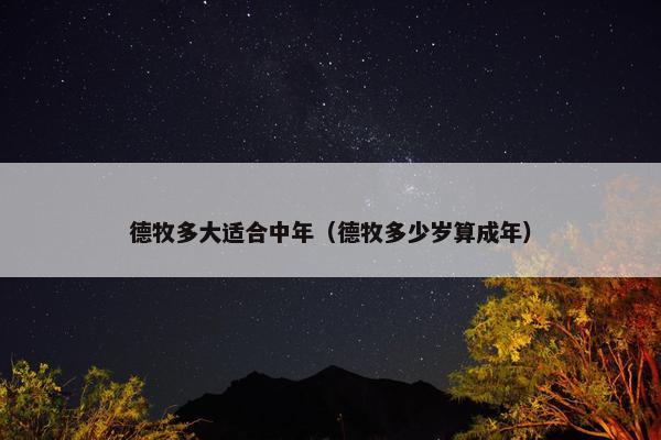 德牧多大适合中年（德牧多少岁算成年）