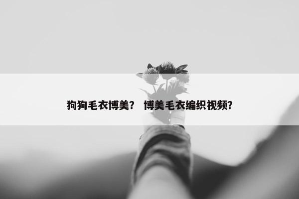 狗狗毛衣博美？ 博美毛衣编织视频？