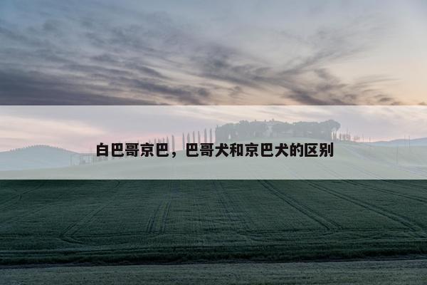 白巴哥京巴，巴哥犬和京巴犬的区别