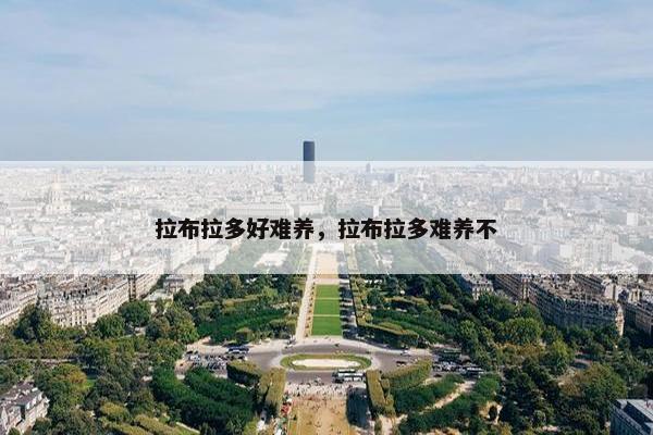 拉布拉多好难养，拉布拉多难养不