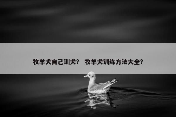 牧羊犬自己训犬？ 牧羊犬训练方法大全？
